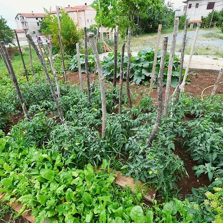 Apartman Kris Marinici (Primorsko-Goranska)